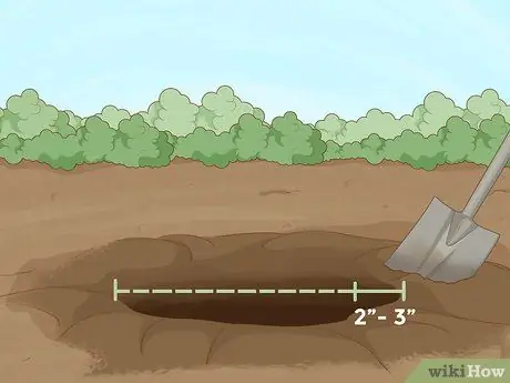 Пересадить дерево Шаг 8