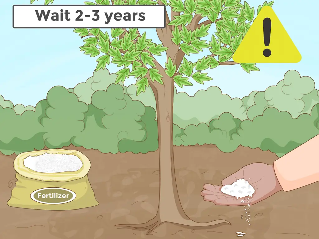 Как пересадить дерево (с иллюстрациями)