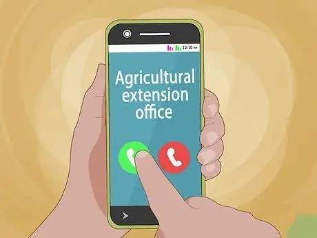 Выявление болезней лимонного дерева Шаг 10