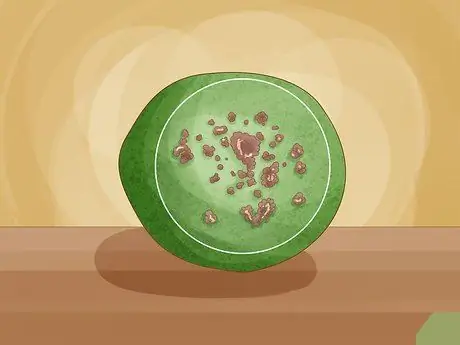 Выявление болезней лимонного дерева Шаг 15