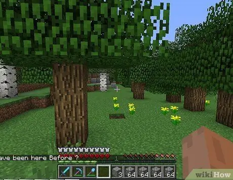 Помните место в Minecraft, шаг 4