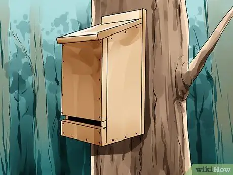 Избавиться от летучих мышей Шаг 6