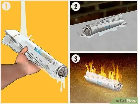 Избавиться от Silverfish Шаг 3