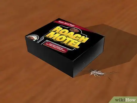 Избавиться от Silverfish Шаг 4