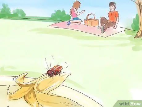 Deter Bees Шаг 10