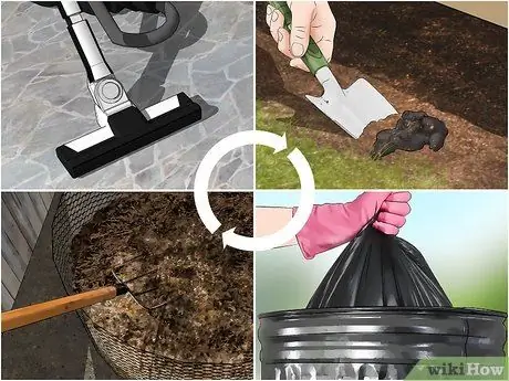 Избавиться от мясных мух, шаг 14