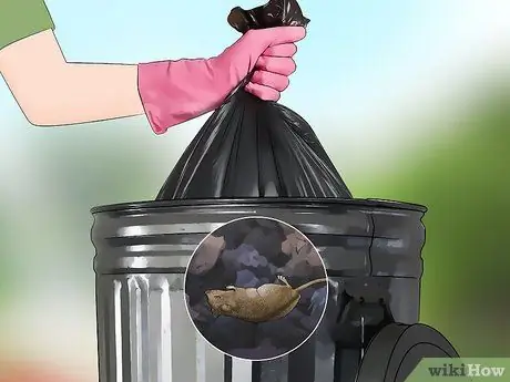 Избавиться от мясных мух, шаг 5