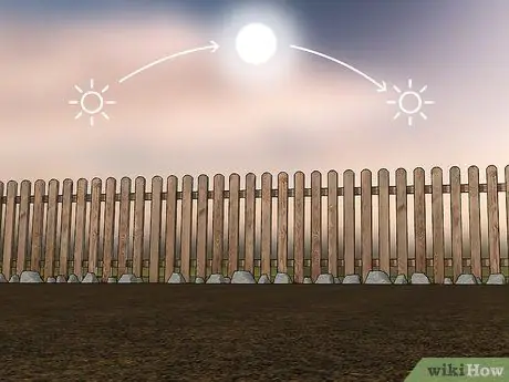 Вырастить тыкву Шаг 2