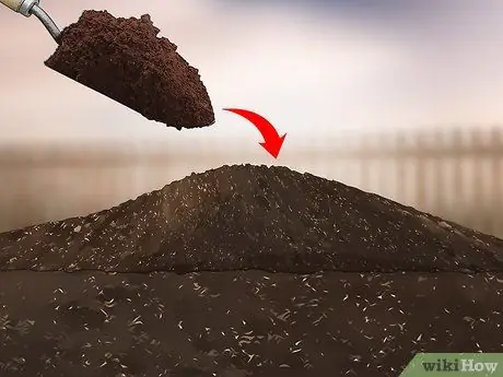 Вырастить тыкву Шаг 6