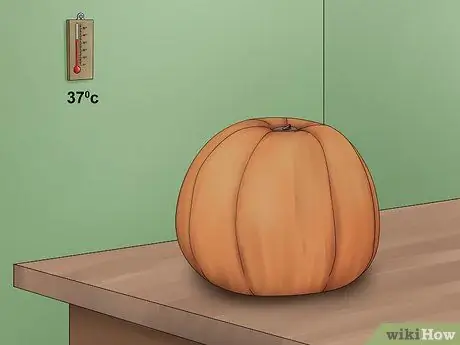 Очистите тыкву Шаг 7