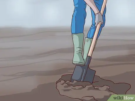 Уход за живой елкой Шаг 10