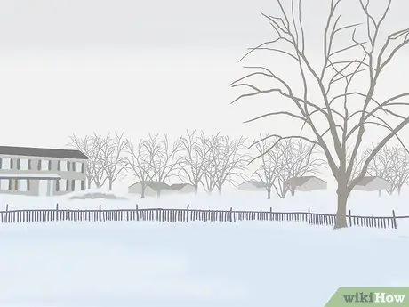 Уход за живой елкой Шаг 9