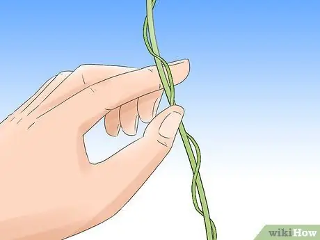 Уход за елкой Шаг 8 Пуля 2