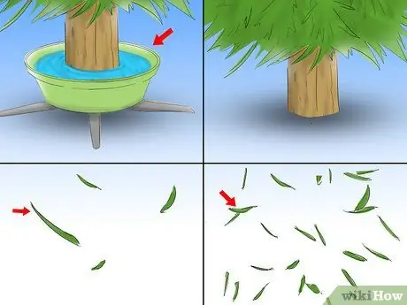 Уход за елкой Шаг 11 Пуля 2