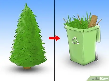 Уход за елкой Шаг 12