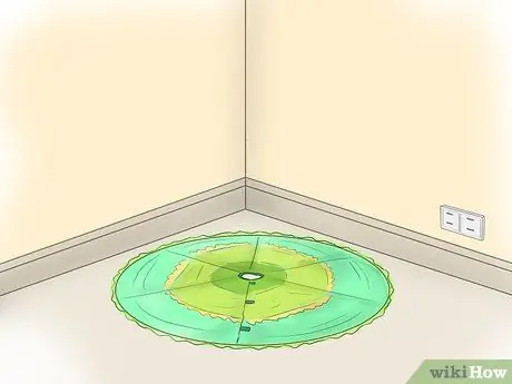 Уход за елкой Шаг 4