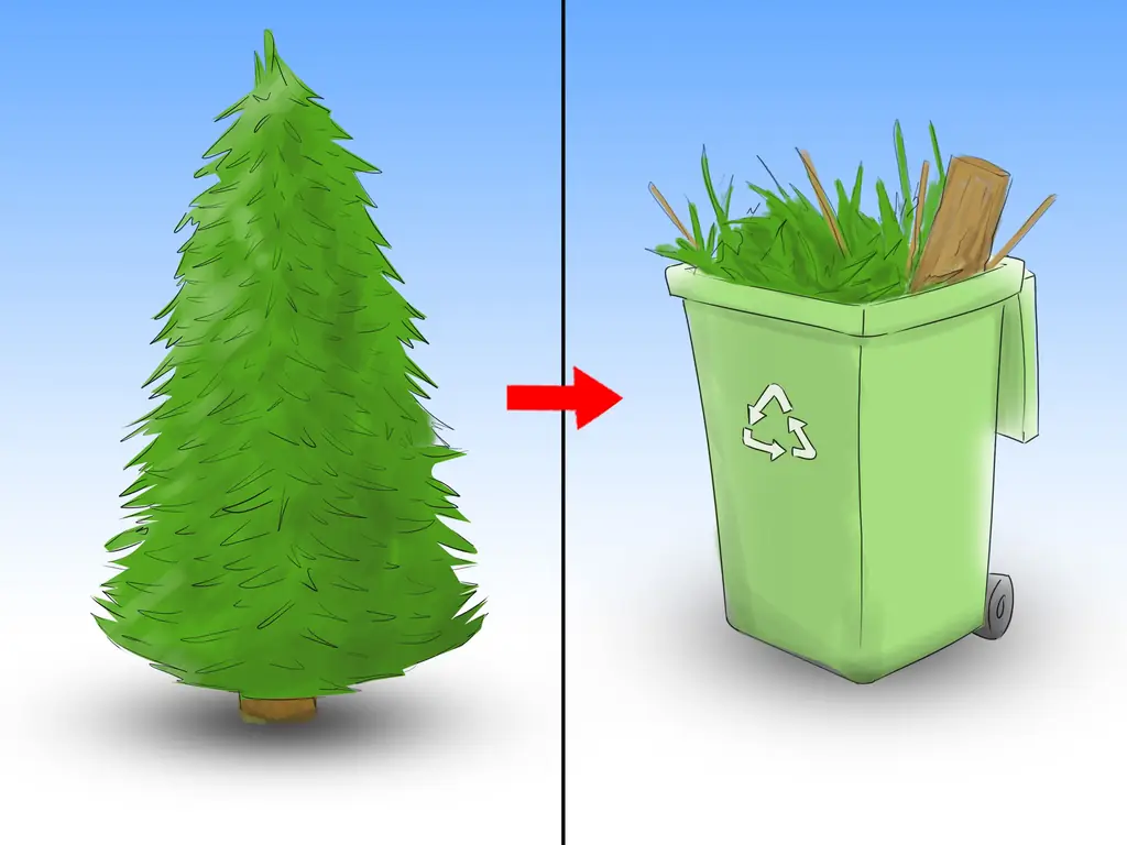 Как ухаживать за елкой: 12 шагов (с иллюстрациями)