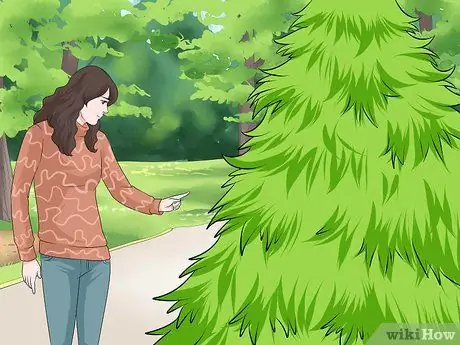 Обрезать елку Шаг 1