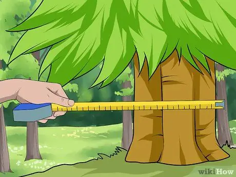 Обрезать елку Шаг 3