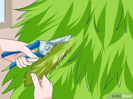 Обрезать елку Шаг 5