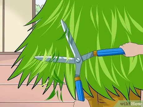 Обрезать елку Шаг 7
