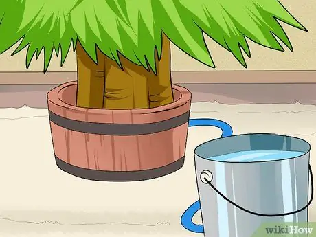 Обрезать елку Шаг 9