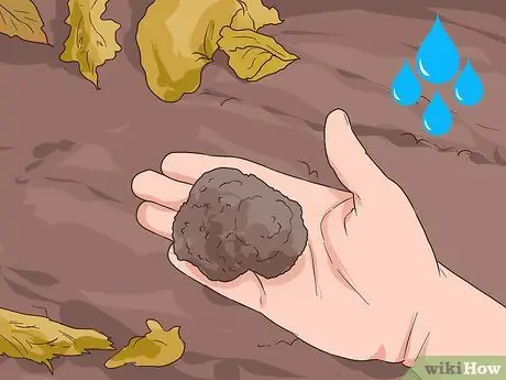 Найди трюфели, шаг 2