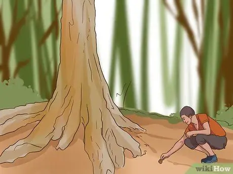 Найди трюфели Шаг 3