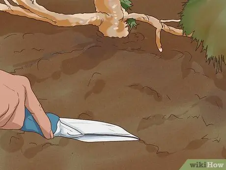 Найди трюфели Шаг 4