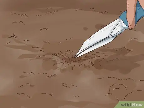 Найди трюфели Шаг 5