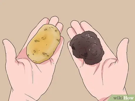 Найди трюфели Шаг 6