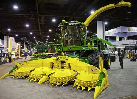 Кукурузная голова