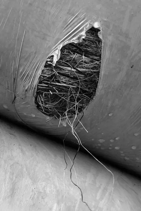 4083431774_52d1411d28_b