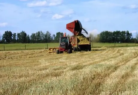 Пападемпингфинальная стадия