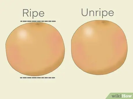 Pick Grapefruit Step 2