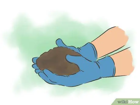 Сделайте систему компоста для червя Шаг 10