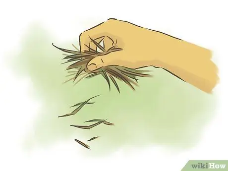 Сделайте систему компоста для червя Шаг 5