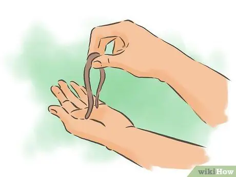 Сделайте систему компоста для червя Шаг 6