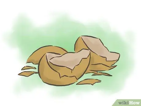 Сделайте систему компоста для червей Шаг 7