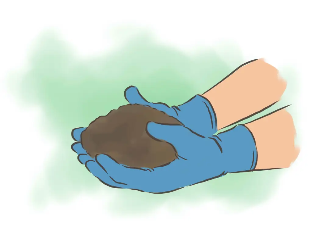 Как сделать систему компоста из червя: 10 шагов (с иллюстрациями)