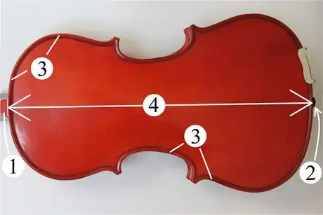Measure_violin_body_length01
