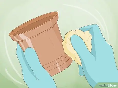Польская бронза Step 12 Польская бронза Step 12