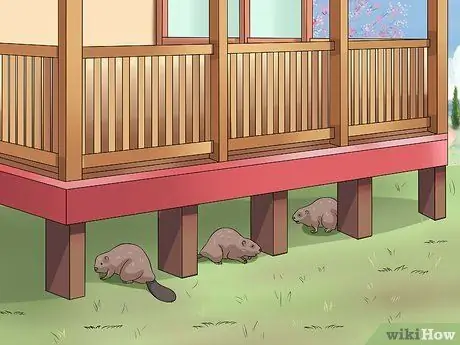 Установите Lattice Step 2