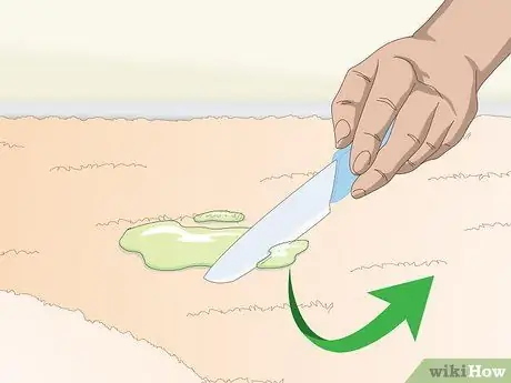 Получите высушенную слизь из ковра Шаг 1