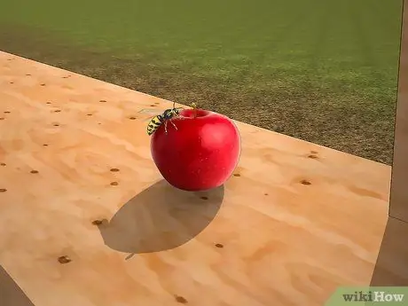 Избавиться от шершней, шаг 3