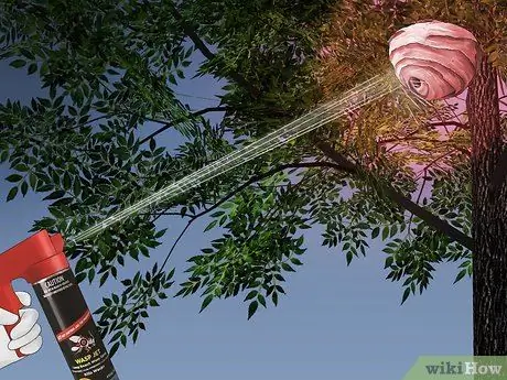 Избавиться от шершней Шаг 8