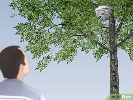 Избавиться от шершней Шаг 9