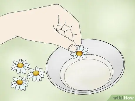 Приготовьте садовый спрей Pyrethrum Step 3