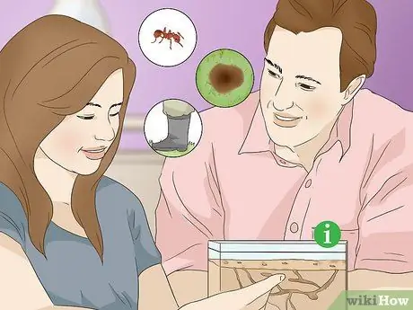 Избавиться от огненных муравьев Шаг 8