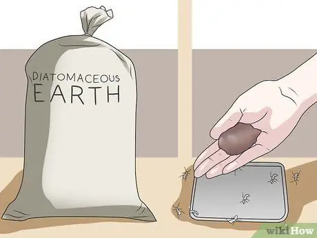 Убить черных муравьев, шаг 5